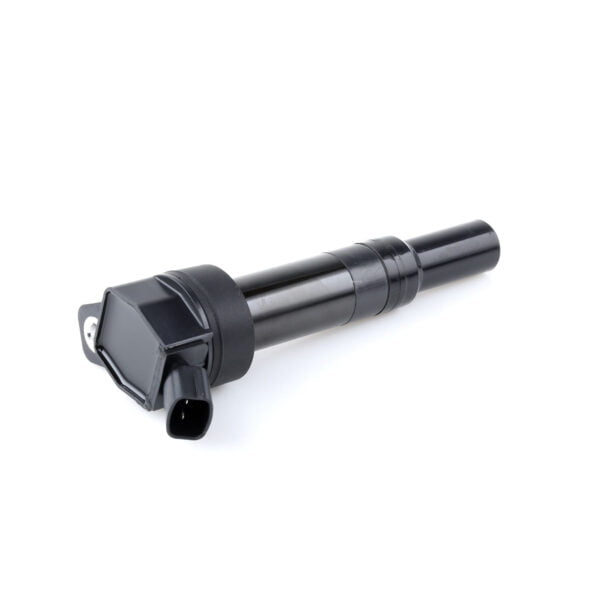 Ignition Coil Kia Carens Iv Rp 03.2013