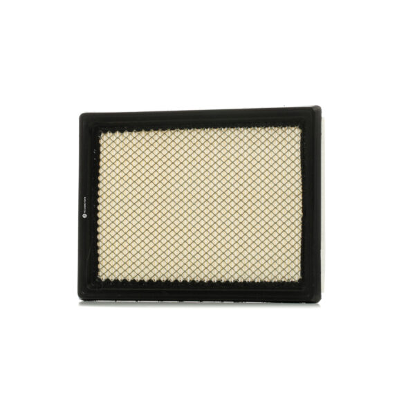 Air Filter Infiniti Q60 Coupe (Cv37) 09.2016