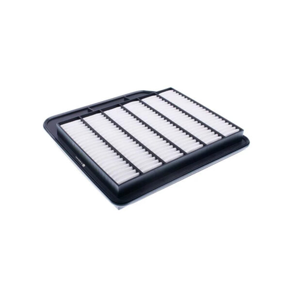 Air Filter Nissan Patrol Vi (Y62) 04.2010