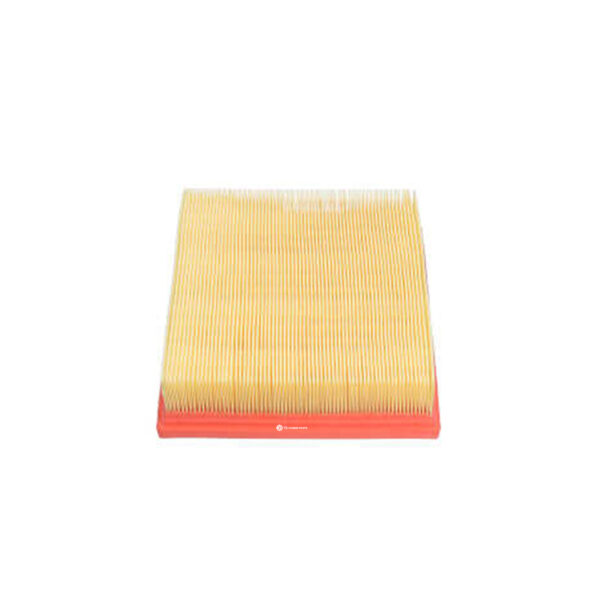 Air Filter Renault Alaskan Pickup 09.2017