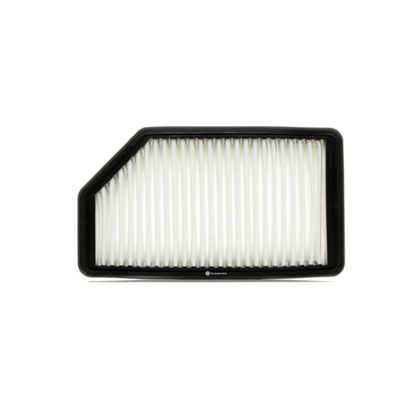 Air Filter Hyundai Veloster (Fs) 03.2011 - 12.2017