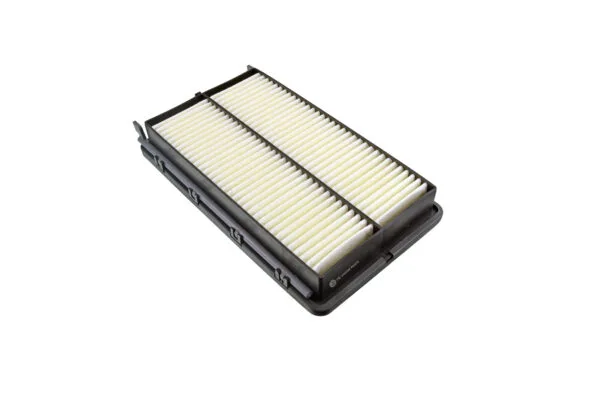 Air Filter Hyundai Santa Fé Iv (Tm)  02.2018