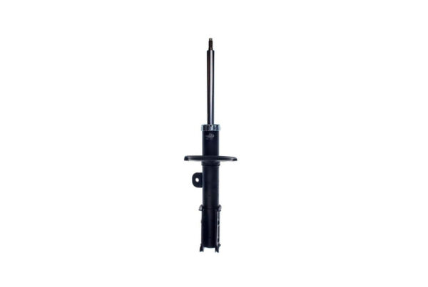 Shock Absorber Chevrolet Captiva 2.2 D | 12-2010