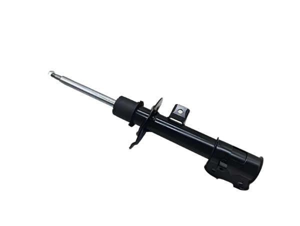 Shock Absorber Hyundai Grand Santa Fé 2.2 Crdi Trazione Integrale | 09-2013